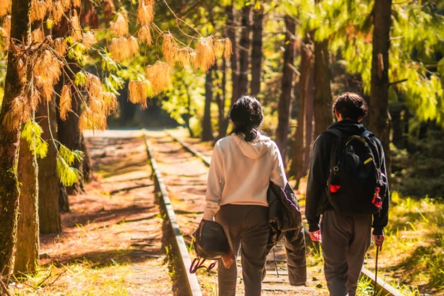 「自然とのつながりが強い国」最上位と最下位が判明、日本は何位？