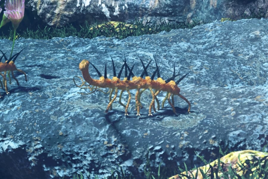 5億年前の怪物「ハルキゲニア」はクラゲをチューチュー吸っていた