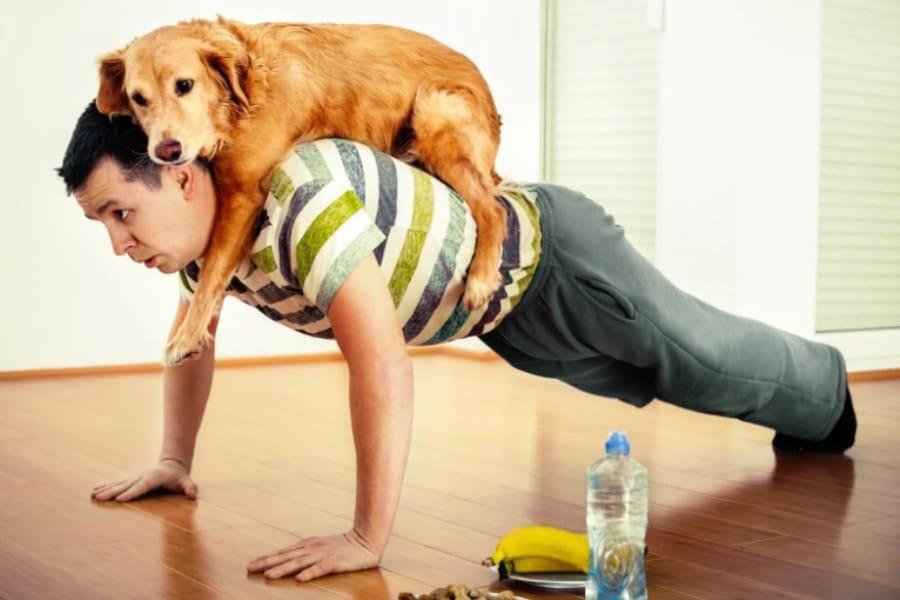 こまめな「1分エクササイズ」で健康が改善する