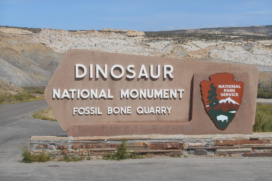 駐車場の工事中に「大型恐竜の化石」を発見