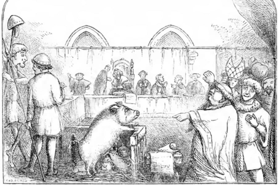 「幼児を食べたブタに死刑判決」中世の動物裁判とは?