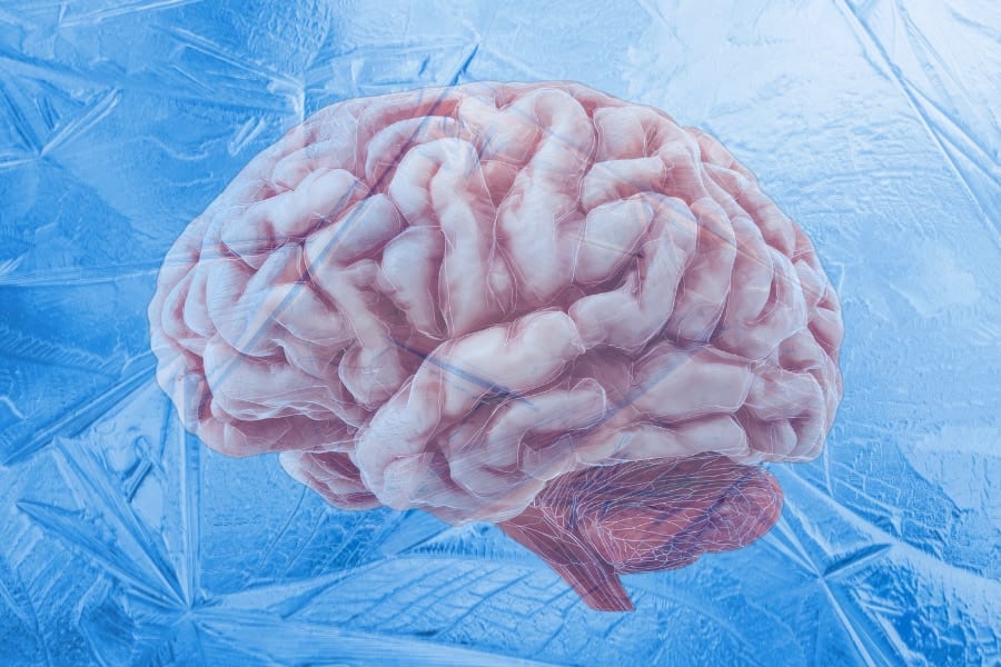 冷凍保存されたマウス脳の電気活動を再起動させることに成功