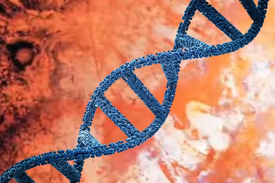 記憶は注射できるのか？　アメフラシが見せた衝撃