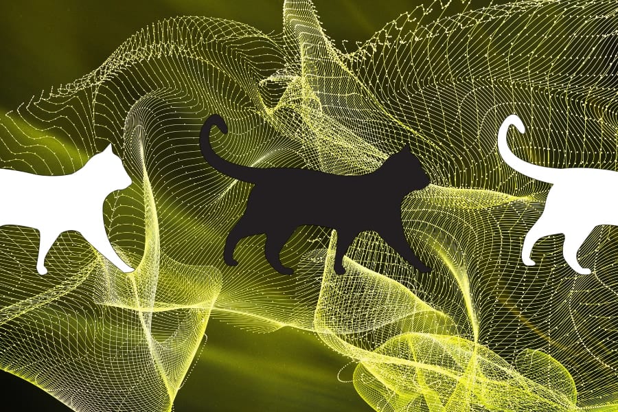 シュレーディンガーの猫を「時空のゆらぎ」で解く――時空を量子化しない理論の挑戦