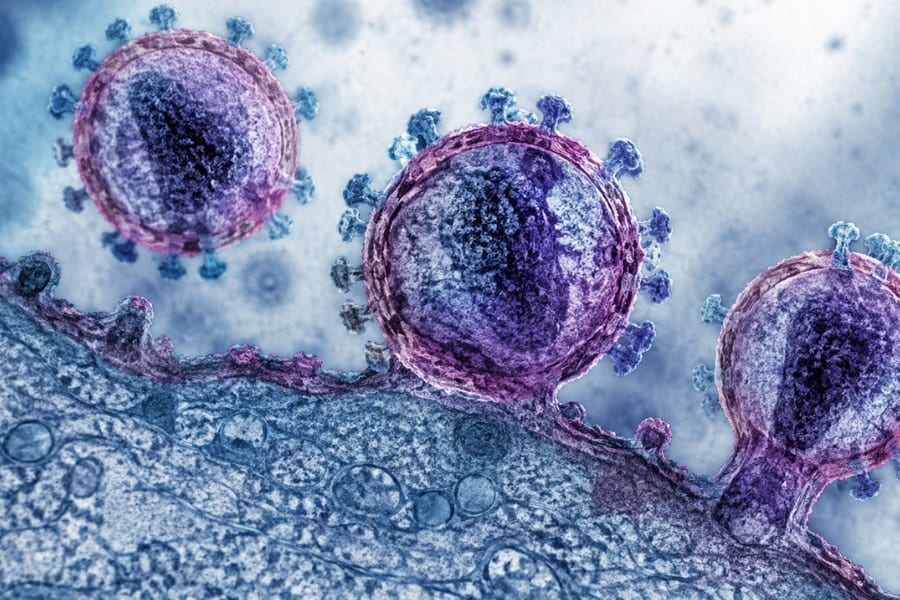 新生児のHIVを「3つの薬」で永久に排除できる可能性、サルの赤ちゃんで実証