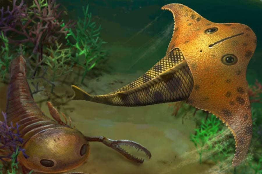 頭に翼が生えていた⁈ デボン紀にいた「新種の装甲魚」を発見