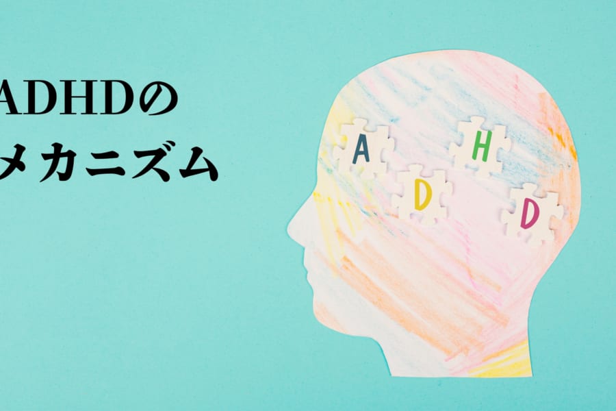ADHDの発症メカニズムの一端を解明、「薬が効かない人」への治療の手がかりに