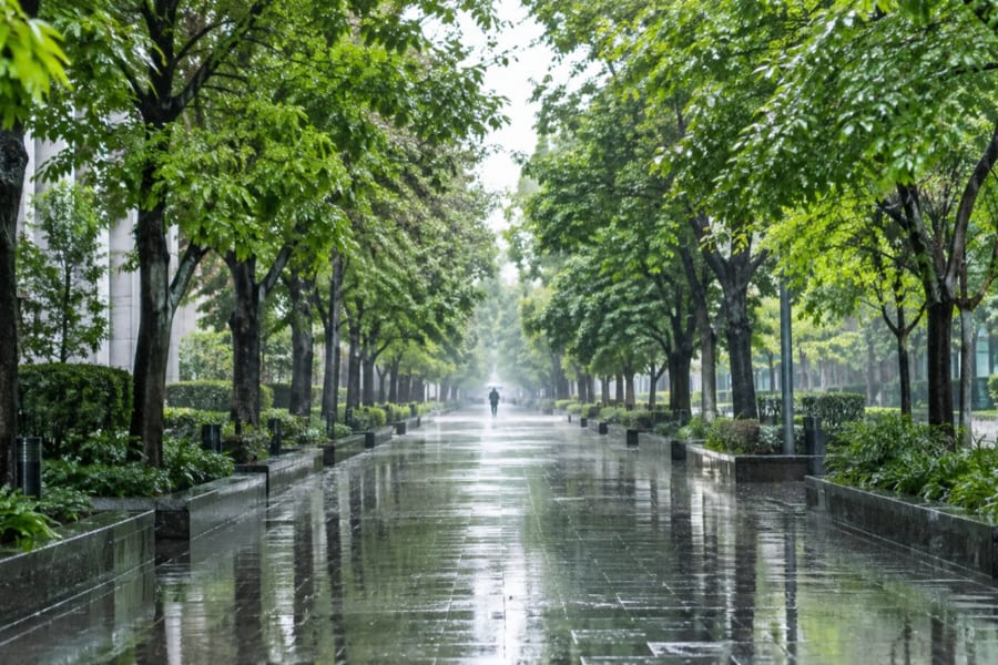 雨上がりの匂いは実は土地と微生物から立ち上っていた