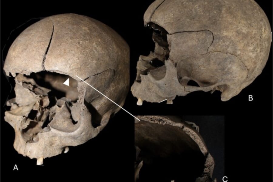 バイキングの暴力を物語る「家の中の痕跡」を発見
