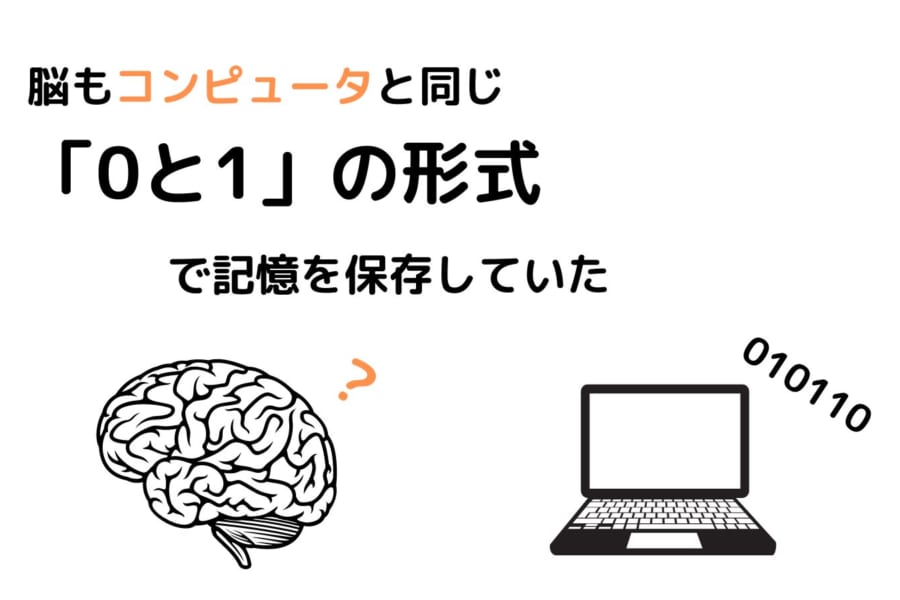 人間の脳は有機スーパーコンピュータだった！「0と1」で記憶を保存すると明らかに